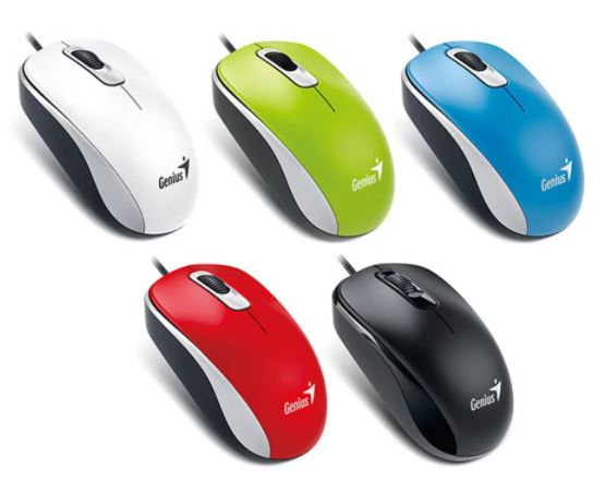 MOUSE, GENIUS, DX-110 USB